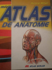 Mic Atlas De Anatomie - Aurora Mihail ,167270 foto