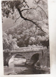 Bnk cp Baile Herculane - Podul acoperit peste Cerna - necirculata