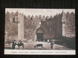 Jerusalem 1910.Poarta Damasculu-i.Carte postala necirculata.