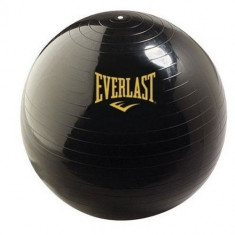 Minge fitness gonflabila cu DVD si pompa 55 cm Everlast foto