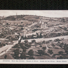 Carte postala necirculata,din 1910.Jerusalem,muntele cu maslini.