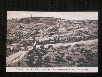 Carte postala necirculata,din 1910.Jerusalem,muntele cu maslini. foto