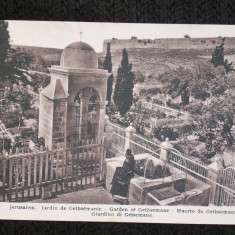 Jerusalem,gradina Ghetimani.Carte postala necirculata,de la 1910.