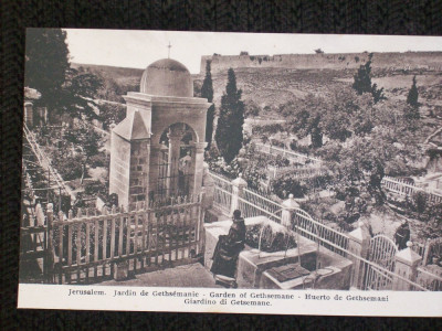 Jerusalem,gradina Ghetimani.Carte postala necirculata,de la 1910. foto