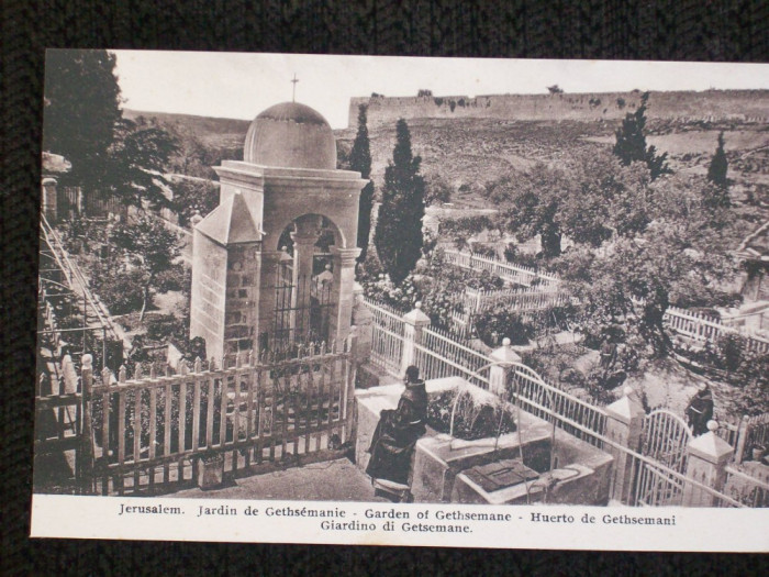 Jerusalem,gradina Ghetimani.Carte postala necirculata,de la 1910.