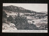 Caifa 1910.Muntele Carmel,locul unde sf.Ilie ia cerut lui D-zeu focul., Israel, Necirculata, Fotografie