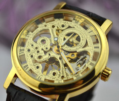 CEAS BARBATI ELEGANT WINNER MECANIC SKELETON SILVER ?i GOLD foto