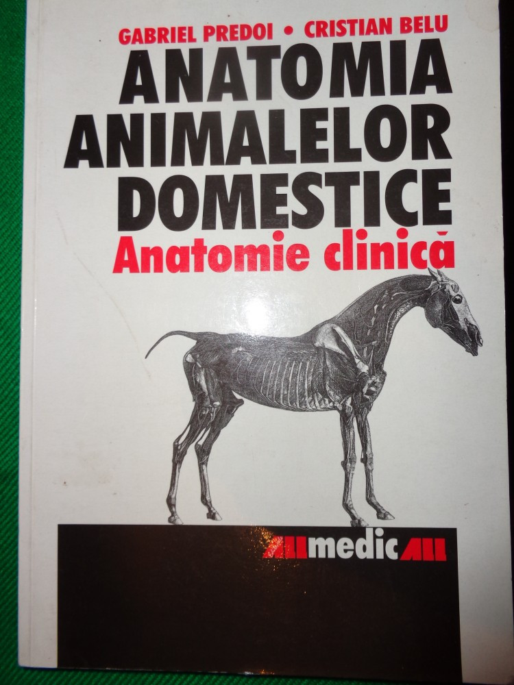Anatomia animalelor domestice/ anatomie clinica( cu figuri)-Gabriel  Predoi,Cristian Belu | arhiva Okazii.ro