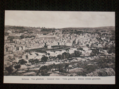Pamantul sfant 1910.Vedere generala a Hebronulu-i. foto