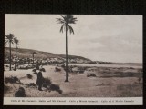 Caifa si muntele Carmel,carte postala din 1910.Necirculata.