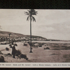 Caifa si muntele Carmel,carte postala din 1910.Necirculata.