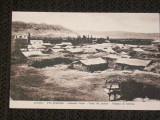 Pamantul sfant la 1910.Gerico,vedere generala.Necirculata., Israel, Fotografie