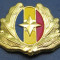 emblema militara 5 (ofiter SRI)