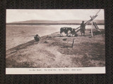 Pamantul sfant la 1910.Marea moarta.Carte postala necirculata., Fotografie