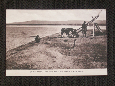 Pamantul sfant la 1910.Marea moarta.Carte postala necirculata. foto