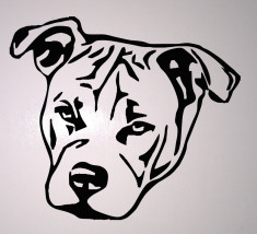 Sticker - Autocolant - Abtibild -Tatuaj de perete - Dog foto