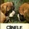 Coriolan Neamtu - Ciinele, prietenul nostru. ABC canin