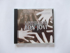 BON JOVI - A TRIBUTE GREATEST HITS OF foto