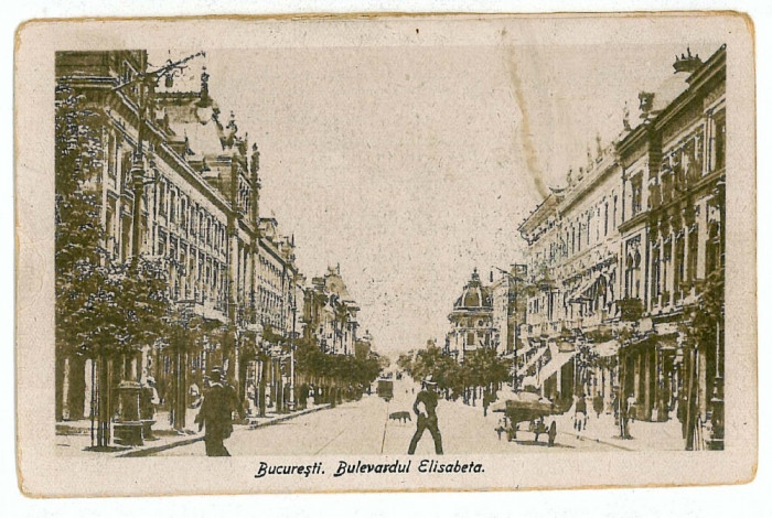 1197 - BUCURESTI, B-dul ELISABETH - old postcard - used - 1920