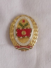 insigna militara ungaria foto