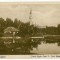 1189 - BUCURESTI, King Carol Park - old postcard - unused
