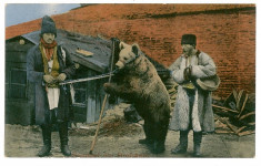 979 - URSARI, Bear trainers - old postcard, CENSOR - used - 1917 foto
