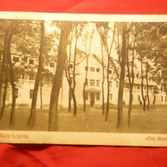 Ilustrata Baile Lipova -Vila Gloria 1929 , autor I.Gh.