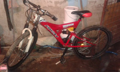 Bibicleta Rich Bike foto