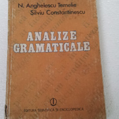 ANALIZE GRAMATICALE