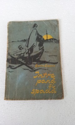 SARINA CASSVAN - INTRE PANA SI SPADA foto