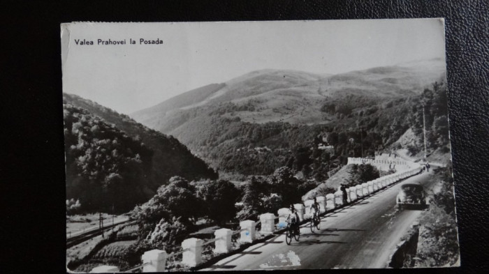 CP - Vedere - RPR - Valea Prahovei la Posada - circulata 1963