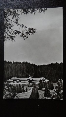 CP - Vedere - Stina de Vale - circulata foto