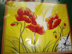 Panza pentru pictura (desen numerotat) - culori acrilice numerotate incluse, 40x50 cm foto