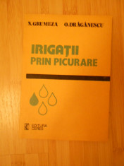 N. GRUMEZA--IRIGATII PRIN PICURARE foto