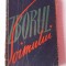 ZBORUL SOIMULUI - MARIN MIHALACHE