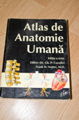 Atlas de anatomie umana Franc Netter foto