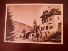 Vedere din Sinaia 4774 foto