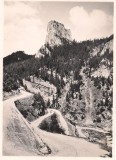 #carte postala(ilustrata)-CHEILE BICAZULUI-Serpentina
