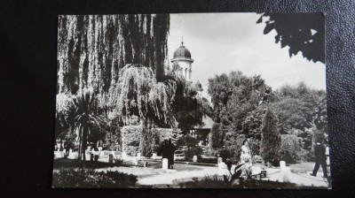 CP - Vedere - Radauti - Vedere din parc - circulata 1968 foto