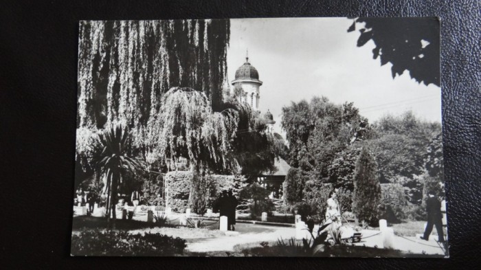 CP - Vedere - Radauti - Vedere din parc - circulata 1968