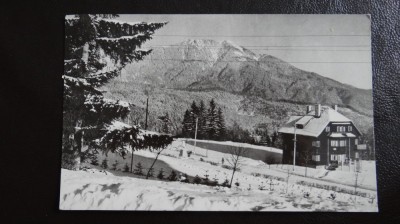 CP - Vedere - RPR - Predeal - Vedere spre masivul Postavarul - circulata foto