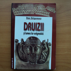 DRUIZII si lumea lor enigmatica - DAN GRIGORESCU, Editura Saeculum I.O. Vestala