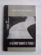 Ai calatorit vreodata cu tacerea ? - Gelu Nicolae Ionescu (autograf) / R2P3S foto