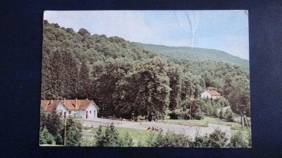 CP - Circulat - Moneasa foto