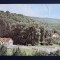CP - Circulat - Moneasa