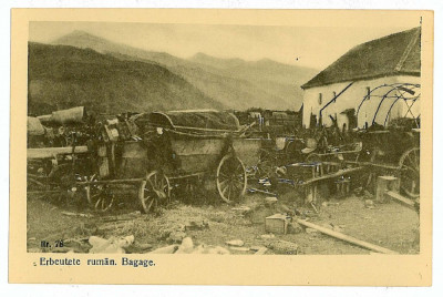 776 - ETHNIC, Carute tiganesti , gypsy wagons - old postcard - unused foto