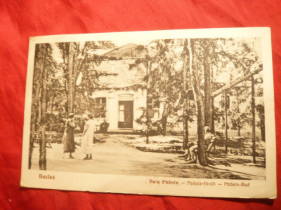 Ilustrata Buzias- Baia Phonix , circulata 1929 foto