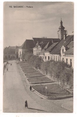 #carte postala(ilustrata)-TARGU SECUIESC foto