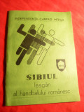 Carpati- Marsa- Sibiul Leagan al Handbalului Romanesc 1982