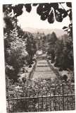 #carte postala(ilustrata)-GOVORA-vedere din parc
